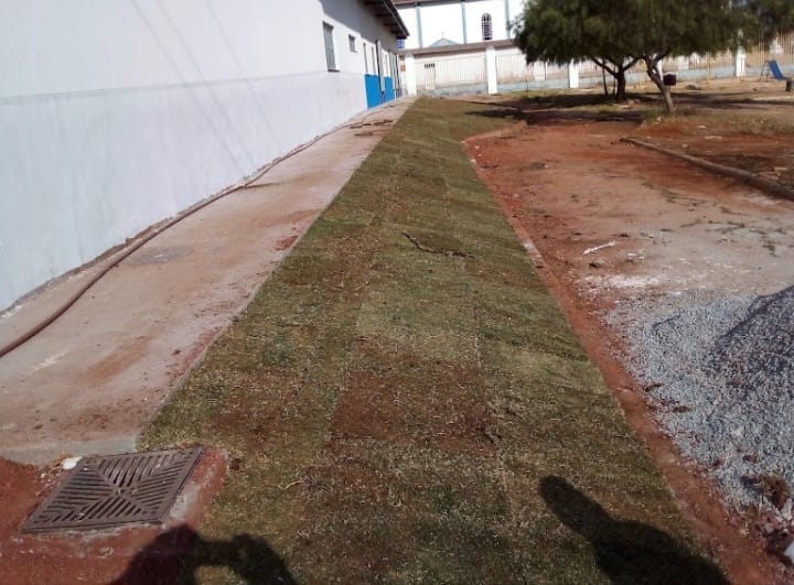 Serviço Depois